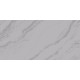 Solo Argento Керамогранит серый LP6012G0571R 59,5х119,1 глянцевые чернила