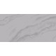 Solo Argento Керамогранит серый LP6012G0571R 59,5х119,1 глянцевые чернила