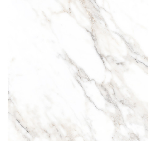 Salm Керамогранит 80х80 Полированный