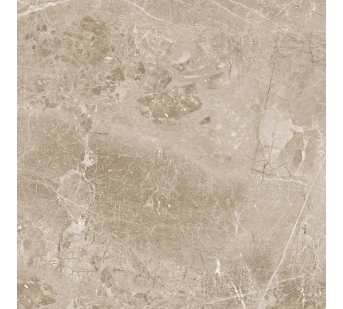 Obsidian Taupe Керамогранит 60х60 Матовый