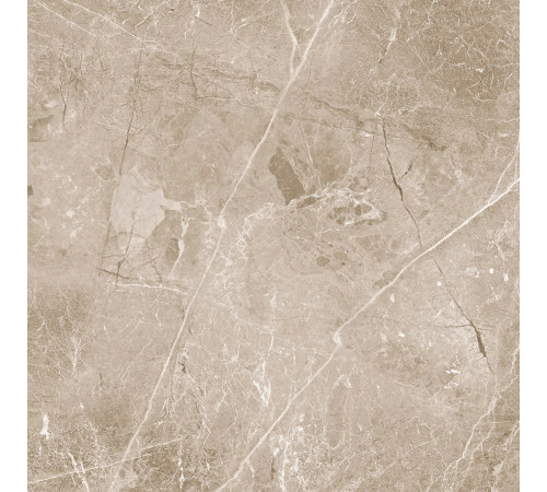 Obsidian Taupe Керамогранит 60х60 Матовый