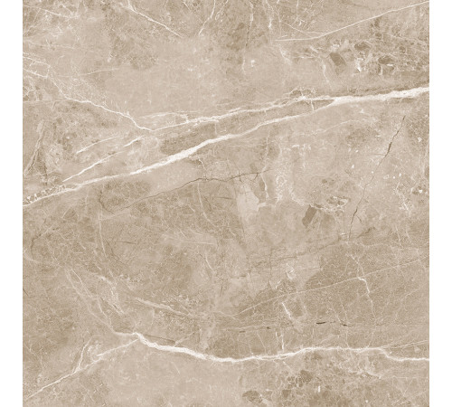 Obsidian Taupe Керамогранит 60х60 Матовый