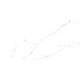 Discovery Blanco Керамогранит белый SG50002420R 59,5х119,1 матовый