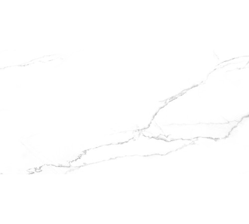 Discovery Blanco Керамогранит белый SG50002420R 59,5х119,1 матовый