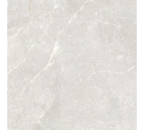 Rocky Bianco PRO Керамогранит светло-серый 60х60 матовый R10GR