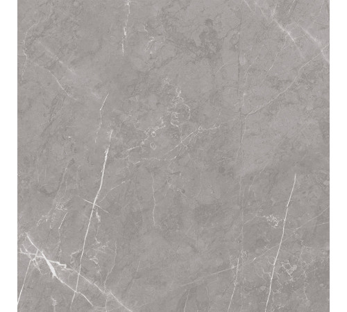 Pietra Grey Керамогранит серый 60х60 матовый карвинг