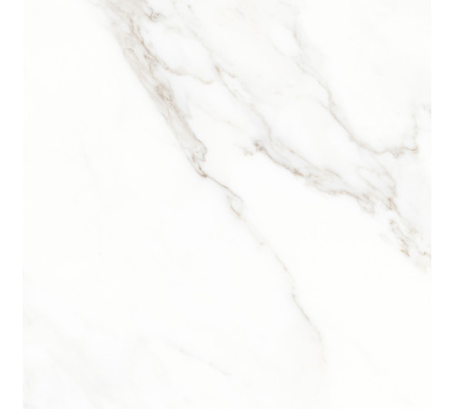 Calacatta Michael Керамогранит белый 60х60 матовый