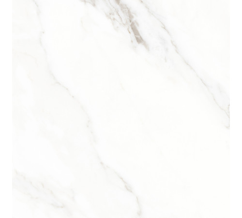 Calacatta Michael Керамогранит белый 60х60 матовый