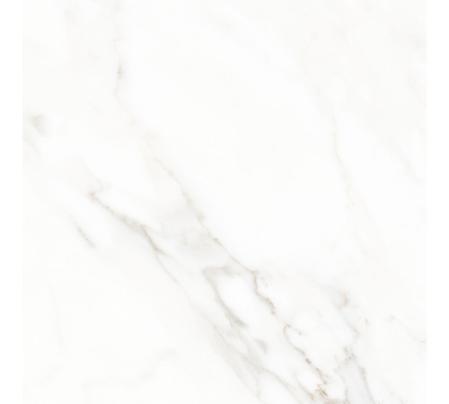 Calacatta Michael Керамогранит белый 60х60 матовый