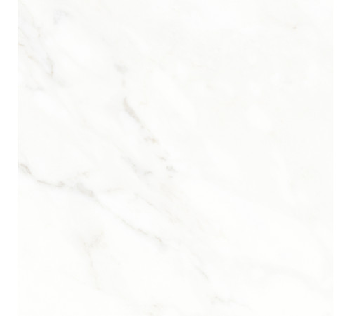 Calacatta Michael Керамогранит белый 60х60 матовый