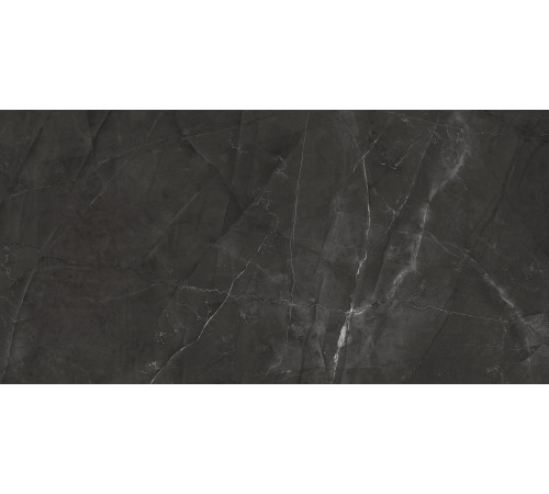 Timeless Grafite Керамогранит графит LP6012G0031R 59,5х119,1 матовый карвинг