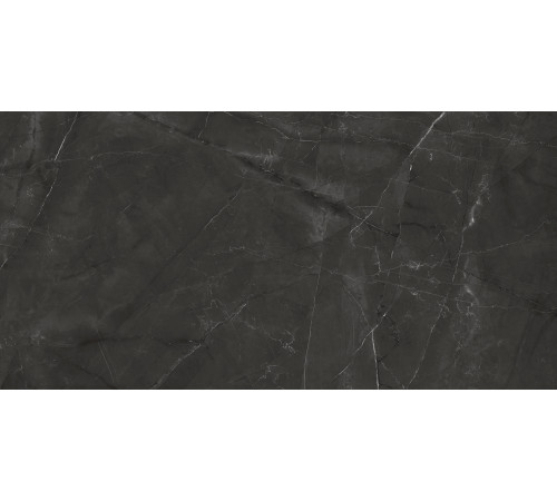 Timeless Grafite Керамогранит графит LP6012G0031R 59,5х119,1 матовый карвинг