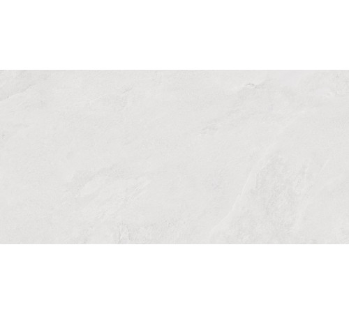 Porter Silver PRO Керамогранит светло-серый LP6012G0171R 59,5х119,1 матовый карвинг R10 STR