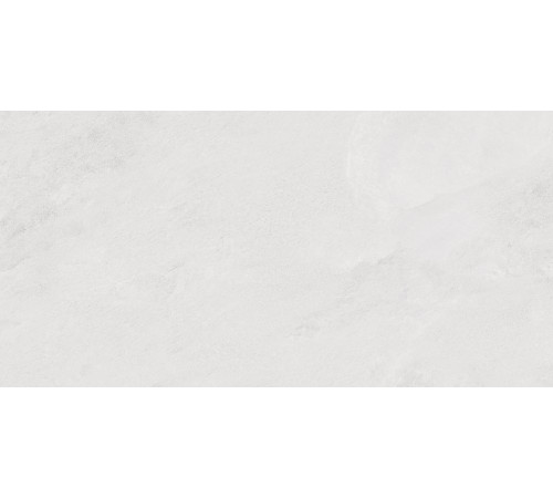 Porter Silver PRO Керамогранит светло-серый LP6012G0171R 59,5х119,1 матовый карвинг R10 STR