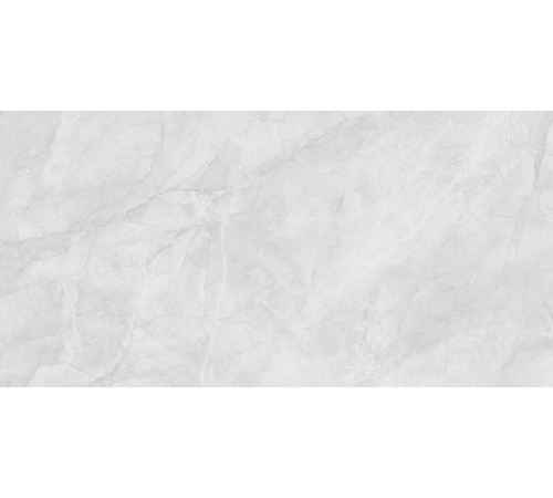 Berna Silver Керамогранит светло-серый LP6012G0231R 59,5х119,1 структурный карвинг