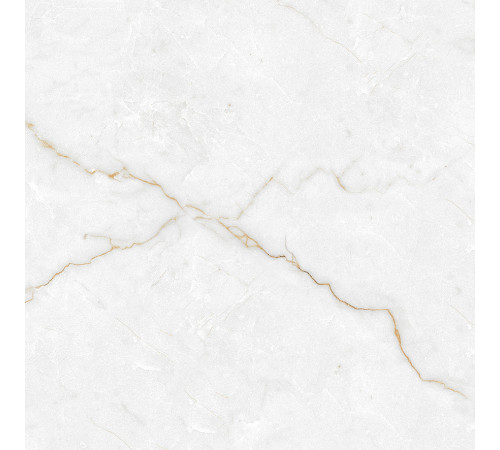 Torso Gold Керамогранит 60х60 Полированный