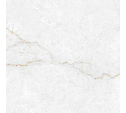 Torso Gold Керамогранит 60х60 Полированный