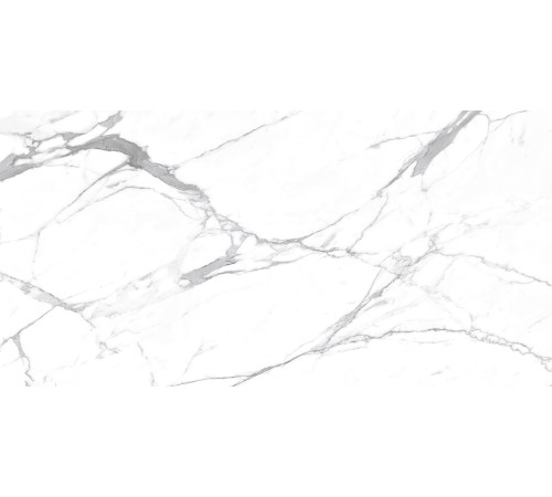 Carrara Terrific Silver Керамогранит белый 60х120 Матовый