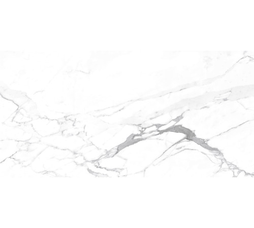 Carrara Terrific Silver Керамогранит белый 60х120 Матовый