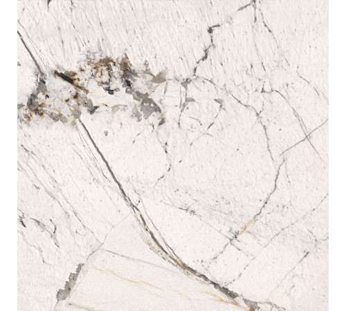 Patagonia Pro Керамогранит бежевый 60х60 матовый патинированный R10