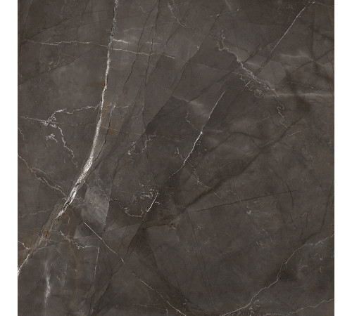 Timeless Marrone Керамогранит коричневый LP6060G0061R 59,5х59,5 матовый карвинг