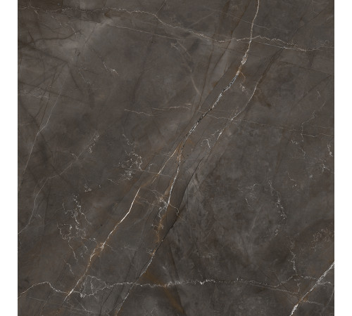 Timeless Marrone Керамогранит коричневый LP6060G0061R 59,5х59,5 матовый карвинг