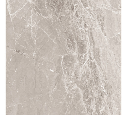 Nostalgic Silver Керамогранит 60х60 Полированный