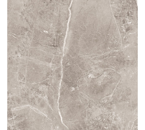 Obsidian Grey Керамогранит 60х60 Матовый