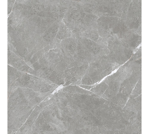 Stone Cool Grey Керамогранит серый 60х60 Матовый