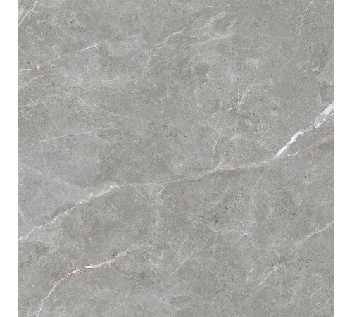 Stone Cool Grey Керамогранит серый 60х60 Матовый