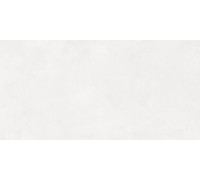 Evolution blanco Плитка настенная 48030R 40x80 матовый обрезной