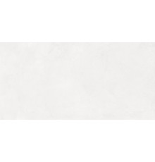 Evolution blanco Плитка настенная 48030R 40x80 матовый обрезной