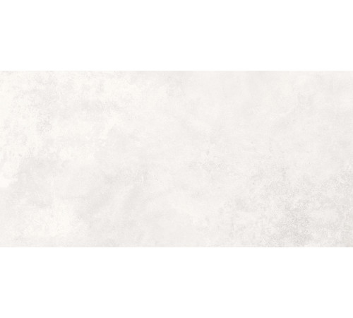 Illusion Blanco PRO Керамогранит светло-серый 60х120 матовый+гл.чернила R10 STR