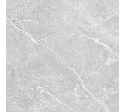 Lune Grigio Керамогранит серый LP6060G0071R 59,5х59,5 матовый карвинг