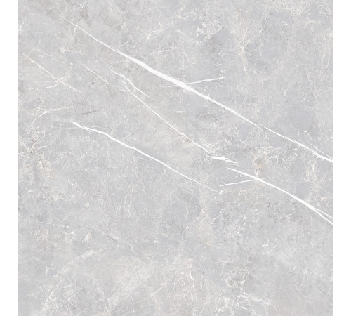Lune Grigio Керамогранит серый LP6060G0071R 59,5х59,5 матовый карвинг