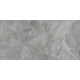 Regnum Grigio Керамогранит серый CR6012G0411R 59,5х119,1 матовый