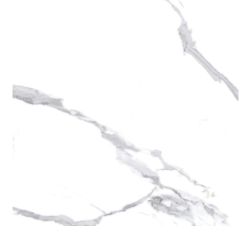 Calacatta Splendid Silver Керамогранит белый 60х60 Матовый