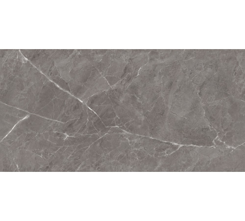 Mramor Chic Grey Керамогранит темно-серый 60х120 Полированный