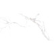 Statuario White PRO Керамогранит белый 60х120 матовый R10GR CB