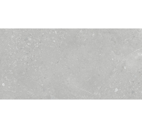 Nelson Керамогранит серый K948161LPR01LPER 59,7х119,7 лаппатированный