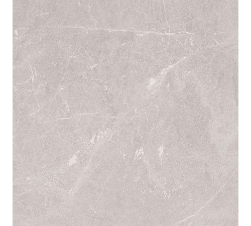 Stone Sovereign Керамогранит серый 60х60 Матовый