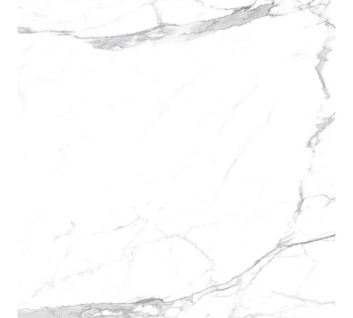 Carrara Terrific Silver Керамогранит белый 60х60 Матовый