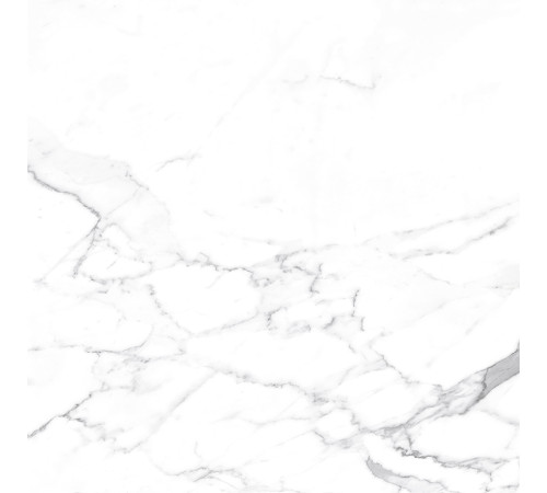 Carrara Terrific Silver Керамогранит белый 60х60 Матовый