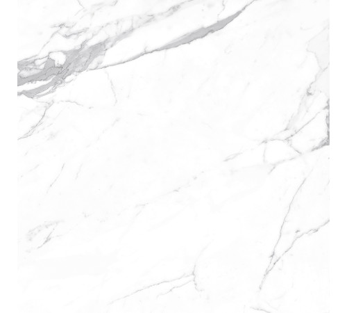 Carrara Terrific Silver Керамогранит белый 60х60 Матовый