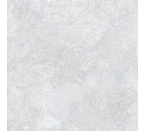 Ocean Fairy Керамогранит светло-серый 60х60 Полированный