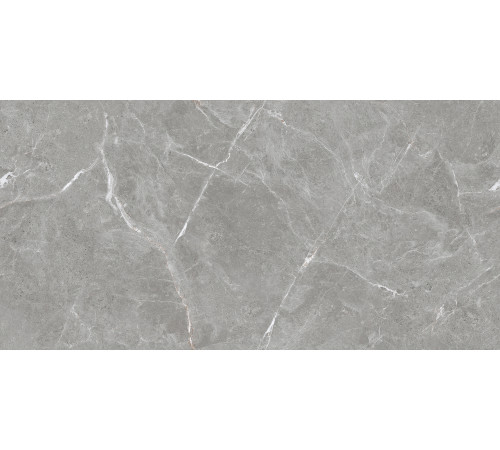 Stone Cool Grey Керамогранит серый 60х120 Матовый