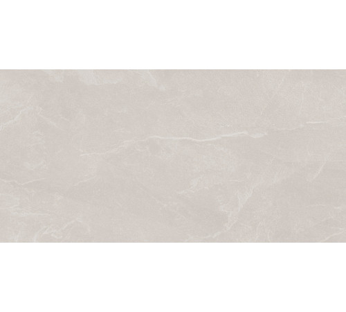 Archie Bianco Pro Керамогранит светло-серый 60х120 матовый R10GR STR