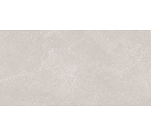 Archie Bianco Pro Керамогранит светло-серый 60х120 матовый R10GR STR