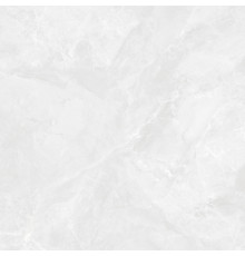 Regnum Bianco Керамогранит светло-серый CR6060G0391R 59,5х59,5 матовый