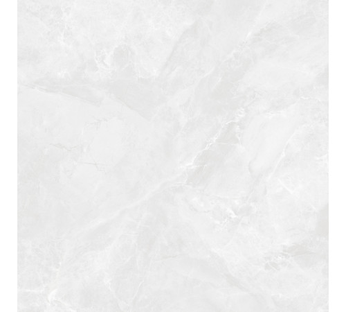 Regnum Bianco Керамогранит светло-серый CR6060G0391R 59,5х59,5 матовый